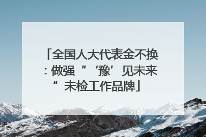 全国人大代表金不换：做强“‘豫’见未来”未检工作品牌