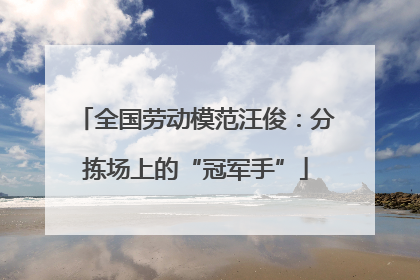 全国劳动模范汪俊：分拣场上的“冠军手”
