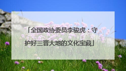 全国政协委员李骏虎：守护好三晋大地的文化宝藏