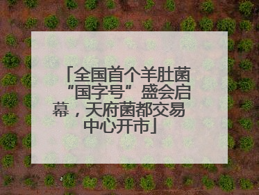 全国首个羊肚菌“国字号”盛会启幕，天府菌都交易中心开市