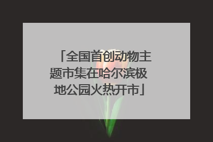 全国首创动物主题市集在哈尔滨极地公园火热开市