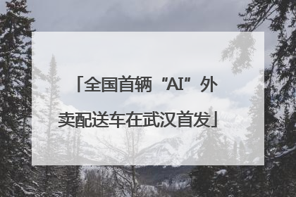 全国首辆“AI”外卖配送车在武汉首发