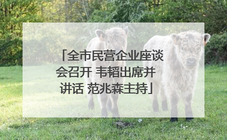 全市民营企业座谈会召开 韦韬出席并讲话 范兆森主持