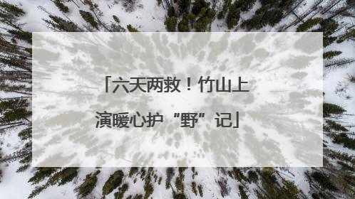 六天两救！竹山上演暖心护“野”记