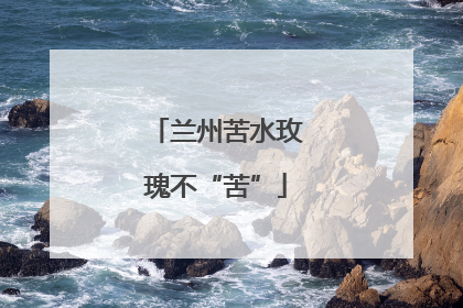 兰州苦水玫瑰不“苦”