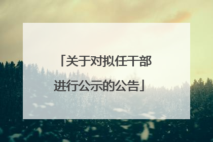 关于对拟任干部进行公示的公告