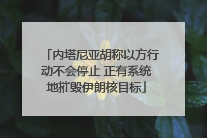 内塔尼亚胡称以方行动不会停止 正有系统地摧毁伊朗核目标