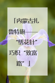 内蒙古扎鲁特旗——“绣花针”巧织“致富路”