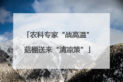 农科专家“战高温” 菇棚送来“清凉策”