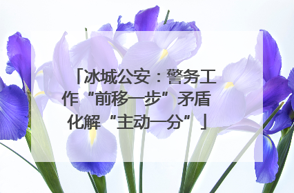 冰城公安：警务工作“前移一步”矛盾化解“主动一分”