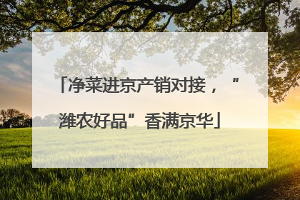 净菜进京产销对接，“潍农好品”香满京华
