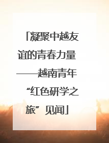 凝聚中越友谊的青春力量——越南青年“红色研学之旅”见闻