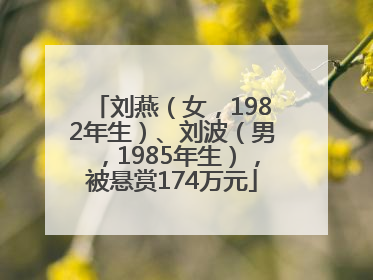刘燕（女，1982年生）、刘波（男，1985年生），被悬赏174万元