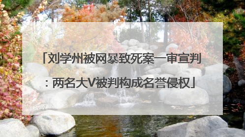 刘学州被网暴致死案一审宣判：两名大V被判构成名誉侵权