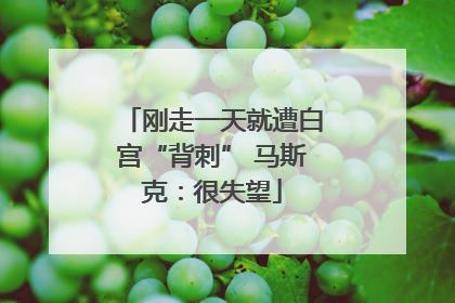 刚走一天就遭白宫“背刺” 马斯克：很失望