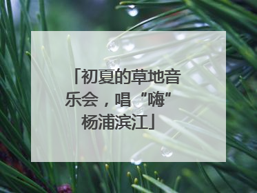 初夏的草地音乐会，唱“嗨”杨浦滨江