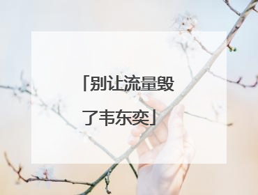 别让流量毁了韦东奕