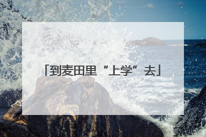 到麦田里“上学”去