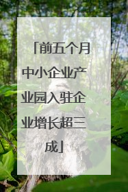 前五个月中小企业产业园入驻企业增长超三成