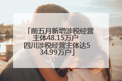 前五月新增涉税经营主体48.15万户 四川涉税经营主体达534.99万户