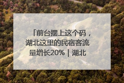 前台摆上这个码，湖北这里的民宿客流量增长20%｜湖北市场监管所的故事