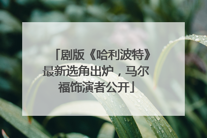 剧版《哈利波特》最新选角出炉，马尔福饰演者公开