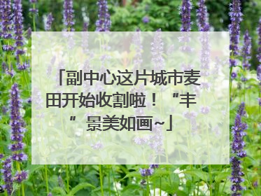 副中心这片城市麦田开始收割啦！“丰”景美如画~