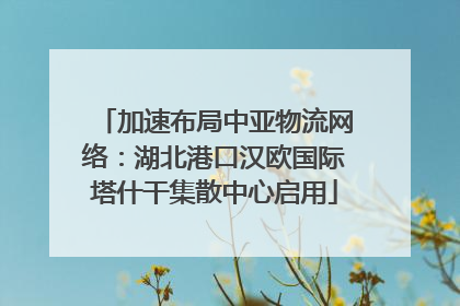加速布局中亚物流网络：湖北港口汉欧国际塔什干集散中心启用