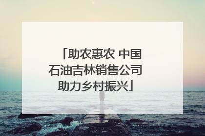 助农惠农 中国石油吉林销售公司助力乡村振兴