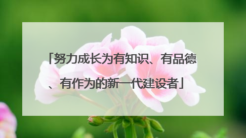 努力成长为有知识、有品德、有作为的新一代建设者