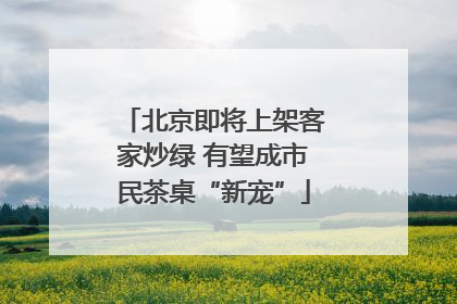 北京即将上架客家炒绿 有望成市民茶桌“新宠”