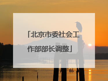 北京市委社会工作部部长调整