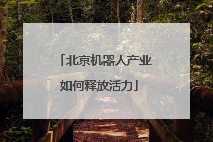 北京机器人产业如何释放活力