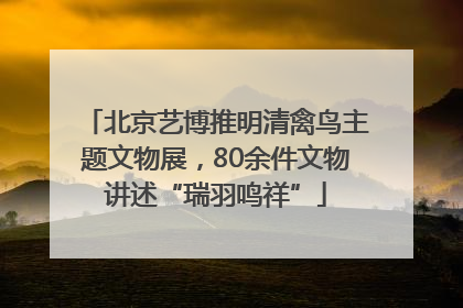 北京艺博推明清禽鸟主题文物展，80余件文物讲述“瑞羽鸣祥”