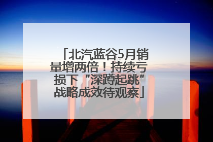 北汽蓝谷5月销量增两倍！持续亏损下“深蹲起跳”战略成效待观察