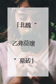 北魏“乙弗莫瓌”墓砖