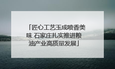 匠心工艺玉成喷香美味 石家庄扎实推进粮油产业高质量发展