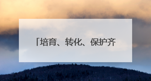 培育、转化、保护齐头并进 江苏高价值专利赋能产业跃迁
