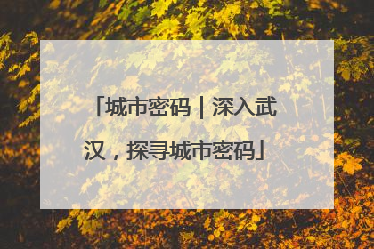 城市密码｜深入武汉，探寻城市密码
