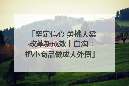坚定信心 勇挑大梁·改革新成效丨白沟：把小商品做成大外贸