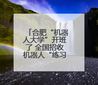 合肥“机器人大学”开班了 全国招收机器人“练习生”