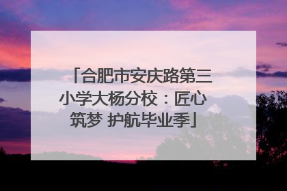 合肥市安庆路第三小学大杨分校：匠心筑梦 护航毕业季