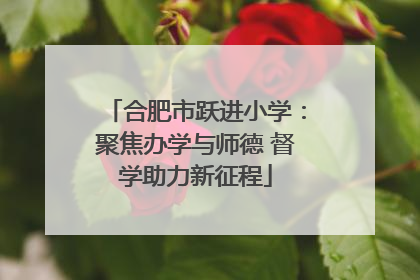 合肥市跃进小学：聚焦办学与师德 督学助力新征程