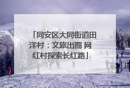 同安区大同街道田洋村：文旅出圈 网红村探索长红路