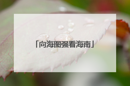 向海图强看海南