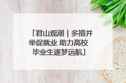 君山观潮｜多措并举促就业 助力高校毕业生逐梦远航