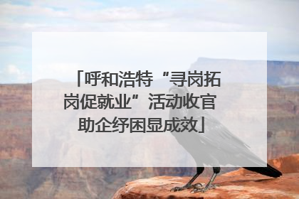 呼和浩特“寻岗拓岗促就业”活动收官 助企纾困显成效