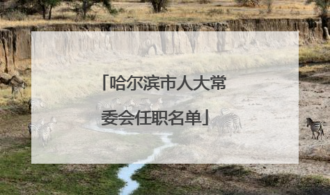 哈尔滨市人大常委会任职名单