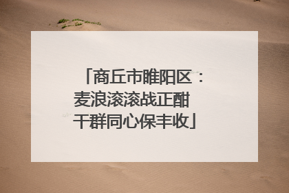 商丘市睢阳区：麦浪滚滚战正酣 干群同心保丰收