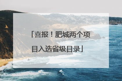 喜报！肥城两个项目入选省级目录